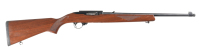 Ruger 1022 Semi Automatic .22 lr - 2