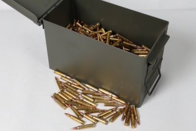 800 Rds .223 Rem Ammo