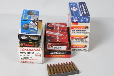 120 Rds .223 Rem Ammo