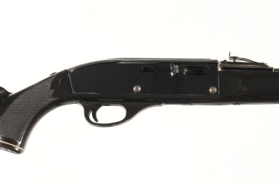 Remington Nylon 66 Apache Black & Chrome Semi Rifle .22lr