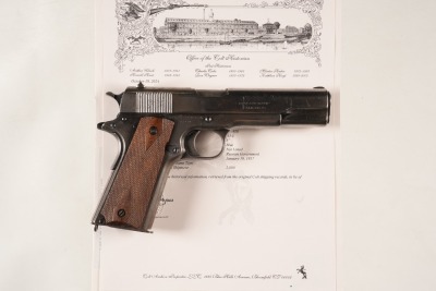 Colt Government Pistol .45 acp