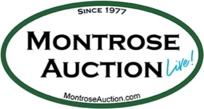 DAY 2 | Saturday, December 14th | Firearms & Accessories Auction