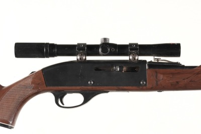 Remington Model 66 Semi Rifle .22 LR