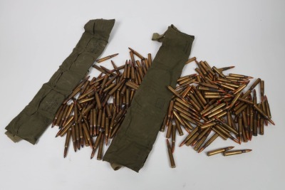 220 Rds 30-06 Ammo