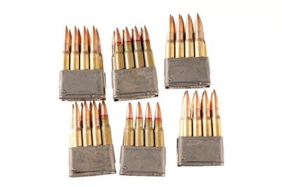 6 Enbloc Clips with 7.62 Nato Ammo