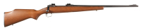 Savage 110 E Bolt Rifle .243 win - 2