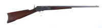 Remington 16 Semi Rifle .22 Rem auto - 2