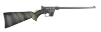 Charter Arms AR-7 Explorer Semi Rifle .22 cal - 2