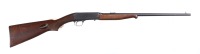 Remington 24 Semi Rifle .22 lr - 2