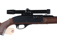 Remington Nylon 66 Semi Rifle .22 lr - 4