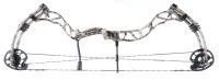 Obsession Compound Bow - 3