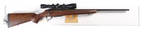 Tikka T3 Hunter Bolt Rifle .338 federal - 2