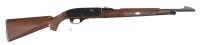 Remington Nylon 66 Semi Rifle .22 lr - 2