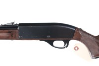 Remington Nylon 66 Semi Rifle .22 lr - 4