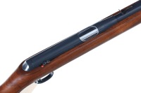 Daisy VL Sgl Rifle .22 caseless - 3