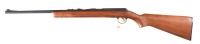 Daisy VL Sgl Rifle .22 caseless - 5