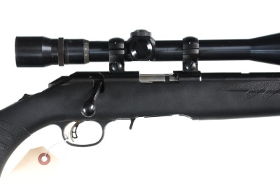 Ruger American Bolt Rifle .22 mag