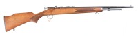 Winchester Cooey 600 Bolt Rifle .22 sllr - 2