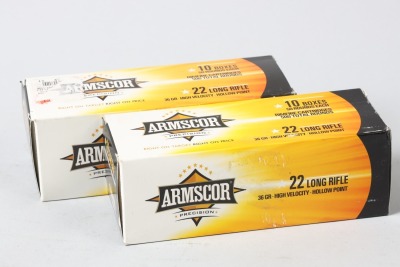 2 bricks Armscor .22 lr ammo