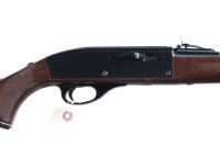 Remington Nylon 66 Semi Rifle .22 lr