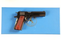 Colt Government Pistol .45 ACP