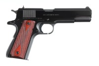 Colt Government Pistol .45 ACP - 2