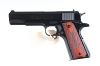 Colt Government Pistol .45 ACP - 4