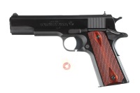 Colt Government Pistol .45 ACP - 3