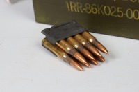 173 Rds .30-06 Ammo - 2