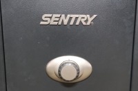 Sentry Gun Safe (Local Pickup) - 2