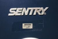 Sentry Gun Safe (Local Pickup) - 2