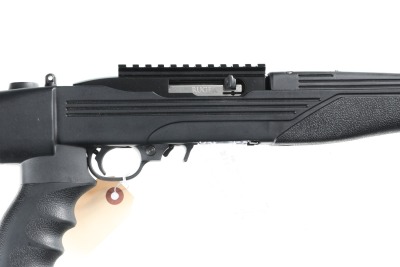 Ruger 10 22 Semi Rifle .22 lr