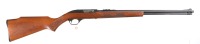 Marlin Glenfield 60 Semi Rifle .22 lr - 2