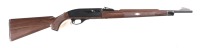 Remington Nylon 66 Semi Rifle .22 lr - 2