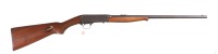 Remington 24 Semi Rifle .22 lr - 2