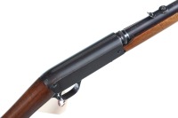 Remington 24 Semi Rifle .22 lr - 3