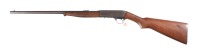 Remington 24 Semi Rifle .22 lr - 5