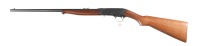 Remington 24 Semi Rifle .22 lr - 5