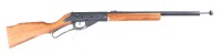 Daisy BB Gun - 2