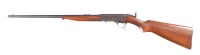 Remington 24 Semi Rifle .22 lr - 5